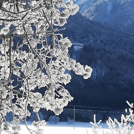 Alpenlodge Kirchbach Kirchbach  Екстер'єр фото