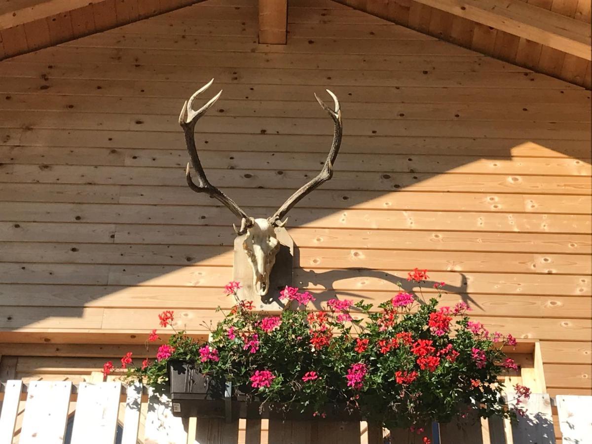Alpenlodge Kirchbach Kirchbach  Екстер'єр фото