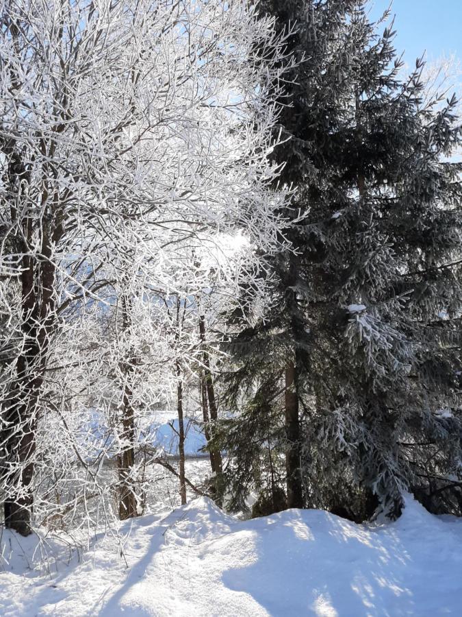 Alpenlodge Kirchbach Kirchbach  Екстер'єр фото