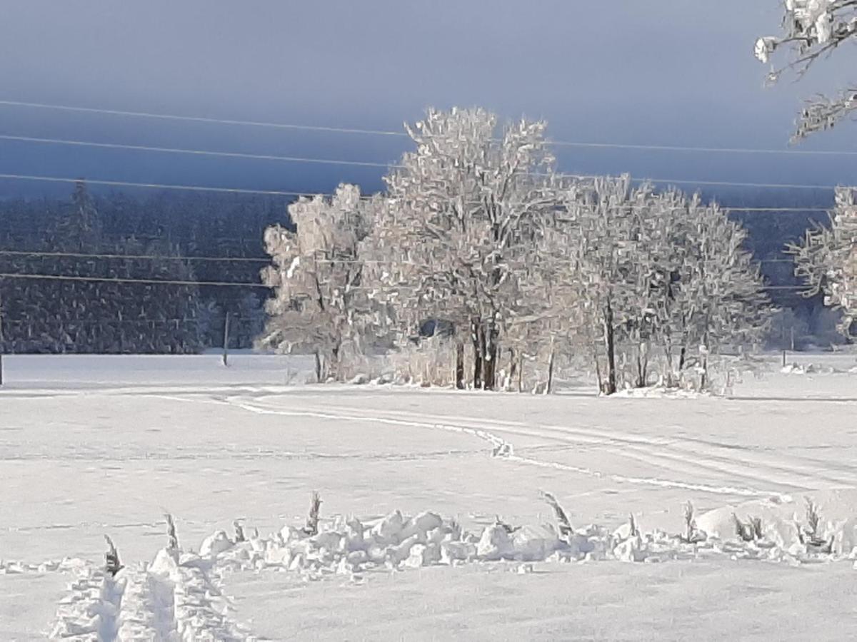 Alpenlodge Kirchbach Kirchbach  Екстер'єр фото